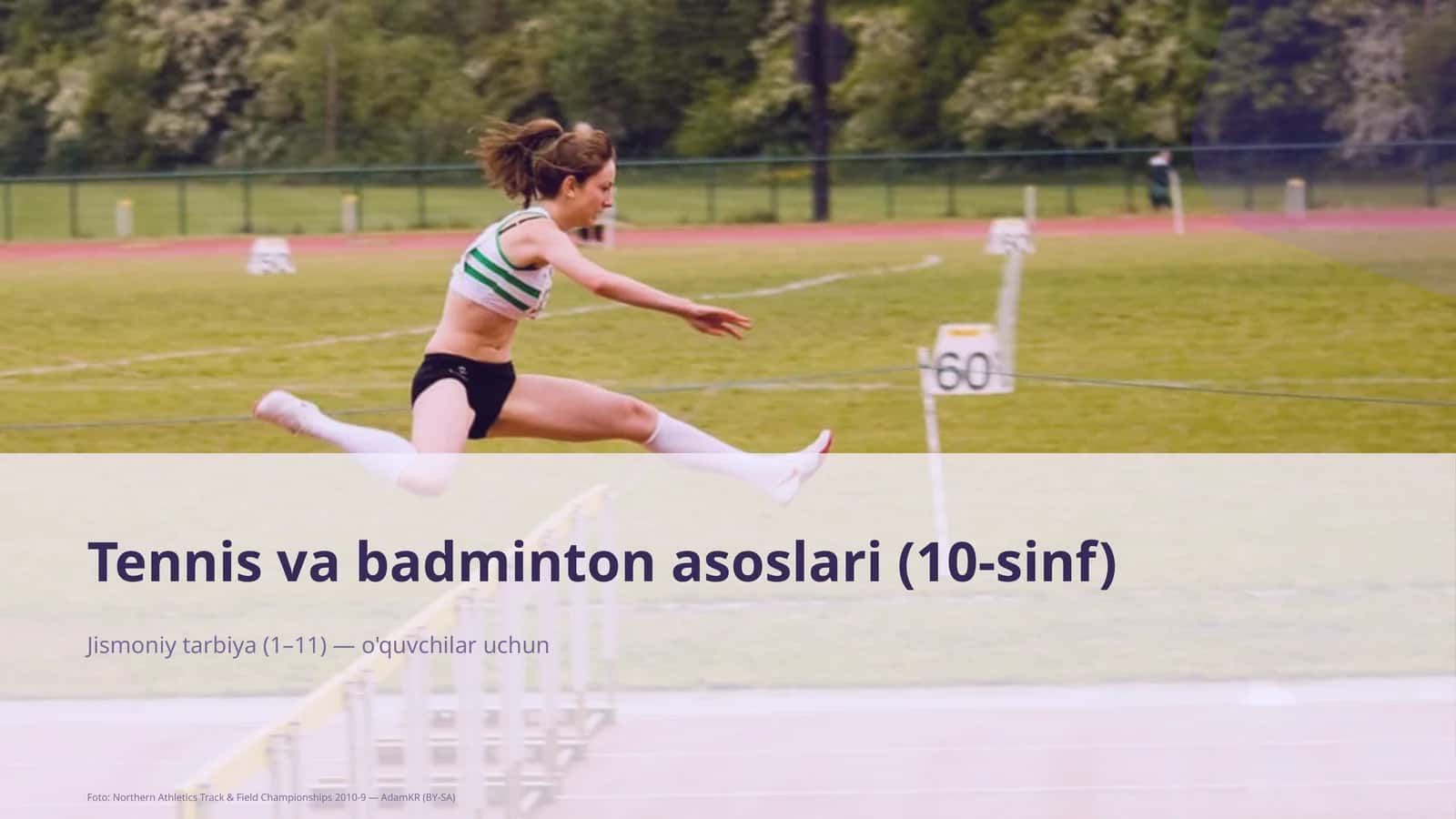 Tennis va badminton asoslari (10-sinf)