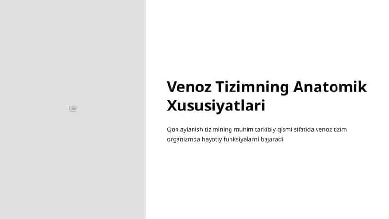 Venoz Tizimning Anatomik Xususiyatlari