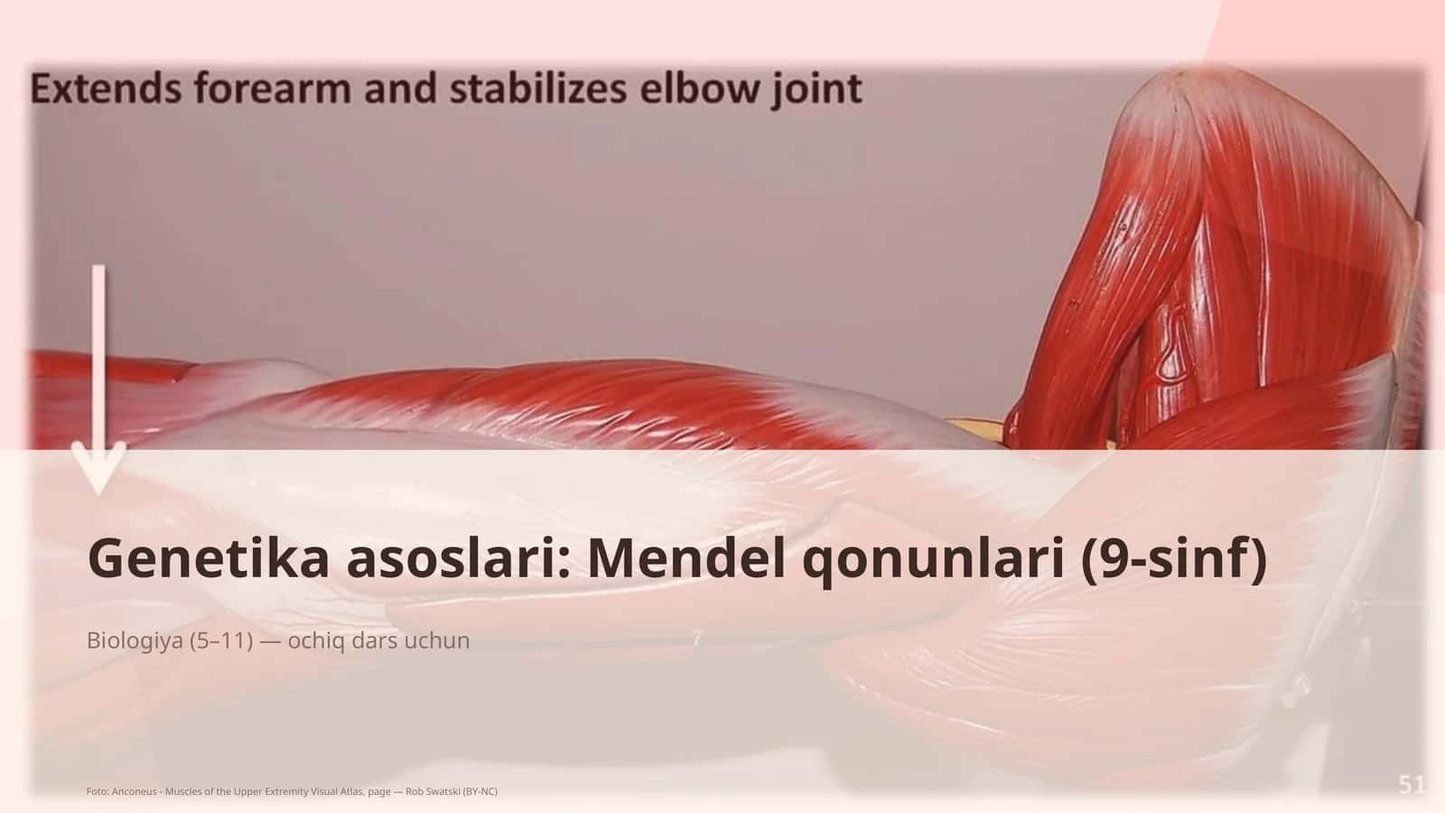 Genetika asoslari: Mendel qonunlari (9-sinf)