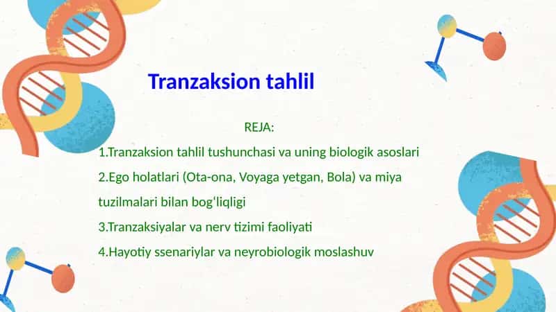 Tranzaksion tahlil
