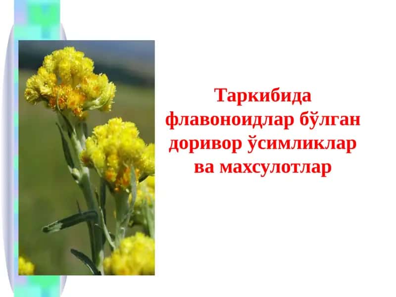 Флавоноидлар ва уларнинг физик-кимёвий хоссалари