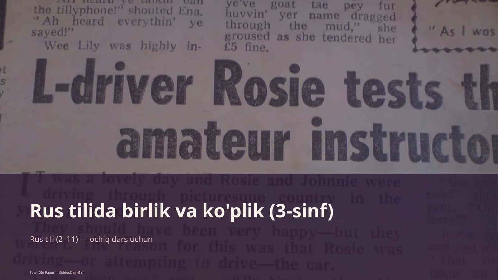 Rus tilida birlik va ko'plik (3-sinf)
