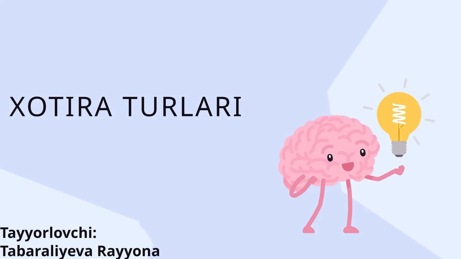 XOTIRA TURLARI