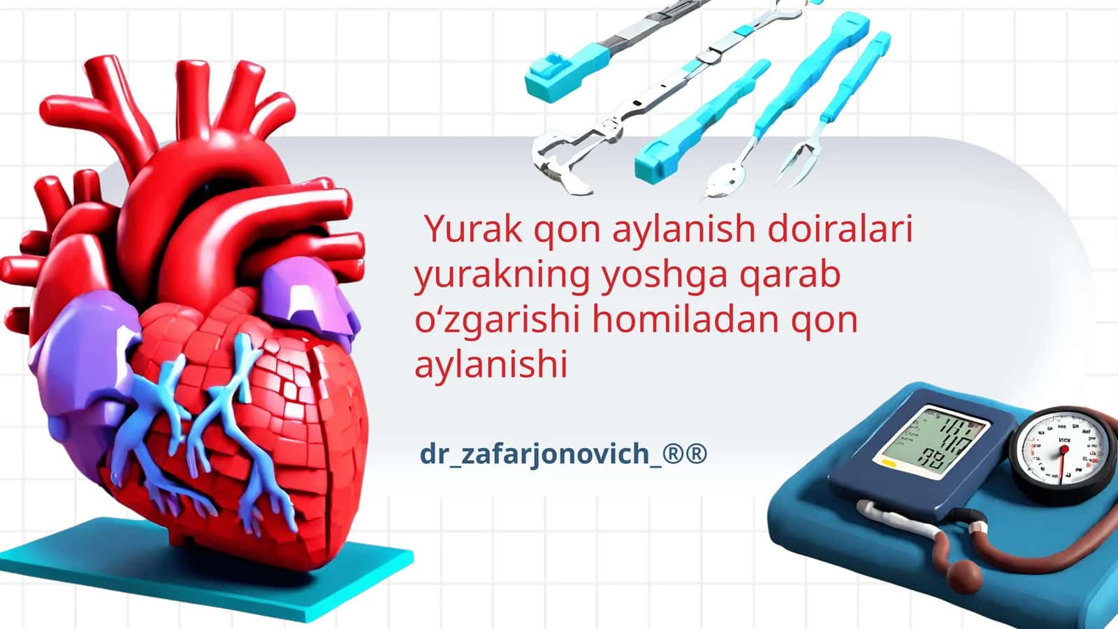 Homilalik qon aylanish doiralari va ularning o'zgarishi