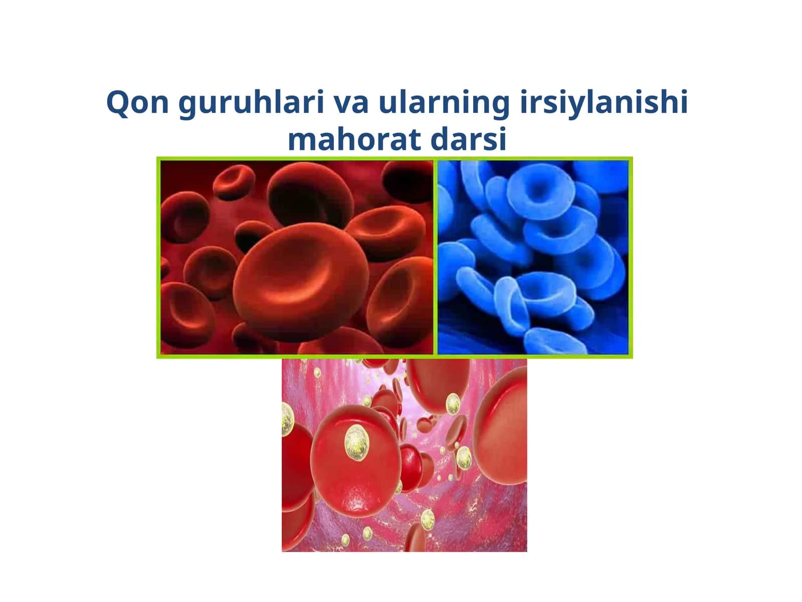Qon guruhlari va ularning irsiylanishi mahorat darsi