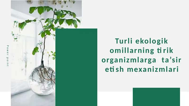 Turli ekologik omillarning tirik organizmlarga ta’sir etish mexanizmlari