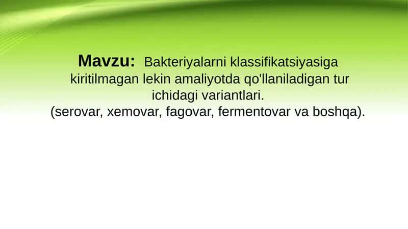 Bakteriyalarni klassifikatsiyasiga 
kiritilmagan lekin amaliyotda qo‘llaniladigan tur ichidagi vari