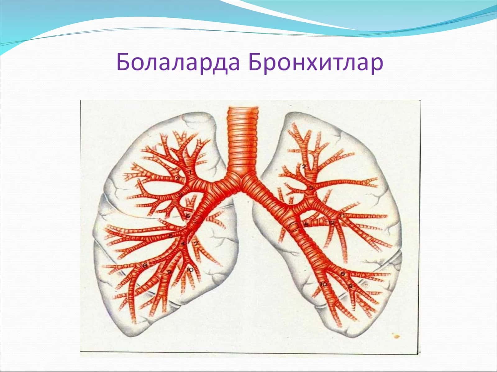 Уткир бронхит (оддий)