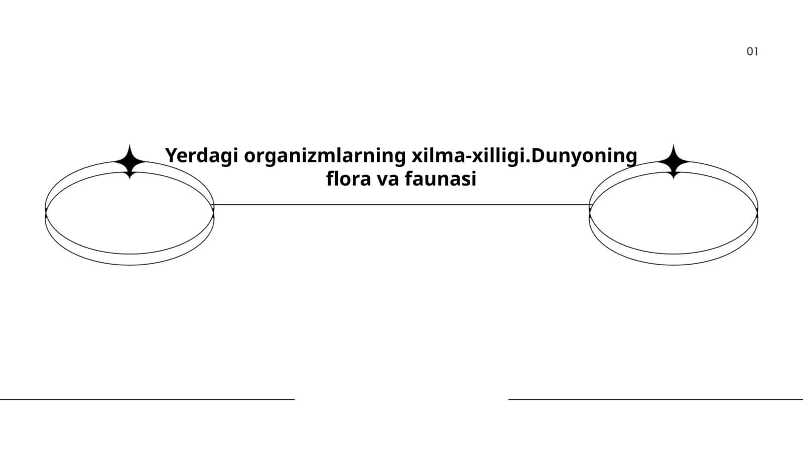 O'simliklar olami: Turlarning xilma-xilligi