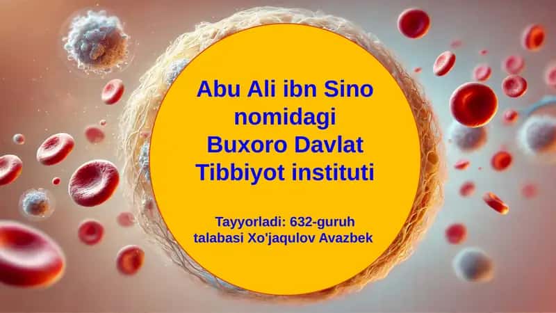 Ichki Muhitning Barqarorligi