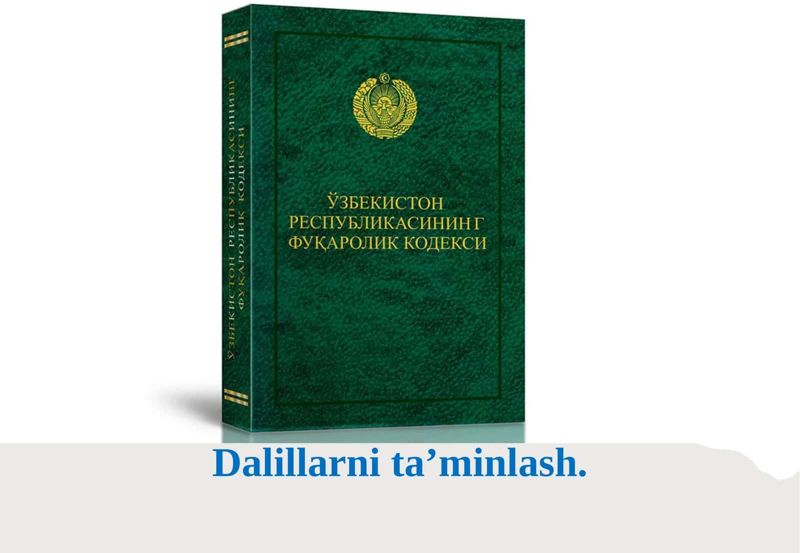 Dalillarni ta’minlash