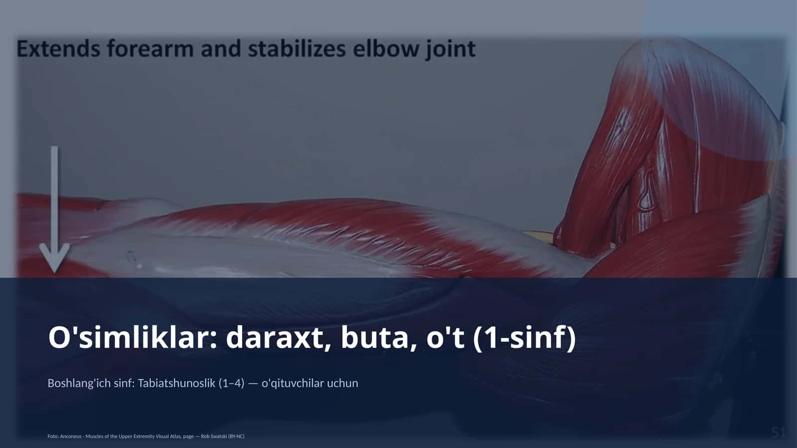 Tabiatshunoslik (1–4) — o'qituvchilar uchun