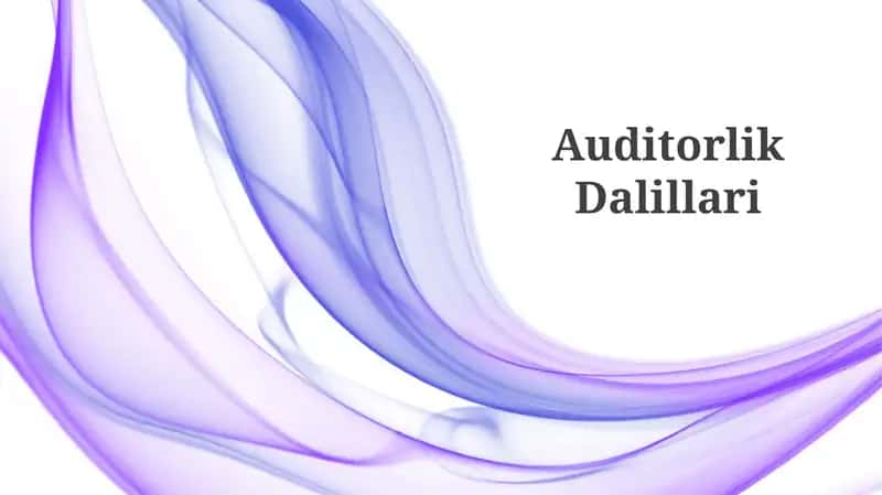 Auditorlik Dalillari