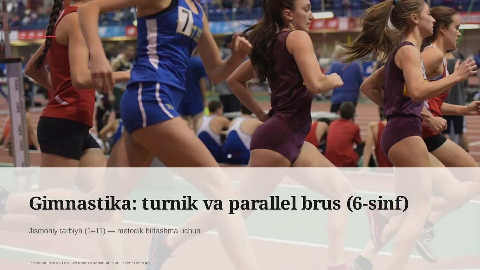 Gimnastika: turnik va parallel brus (6-sinf)