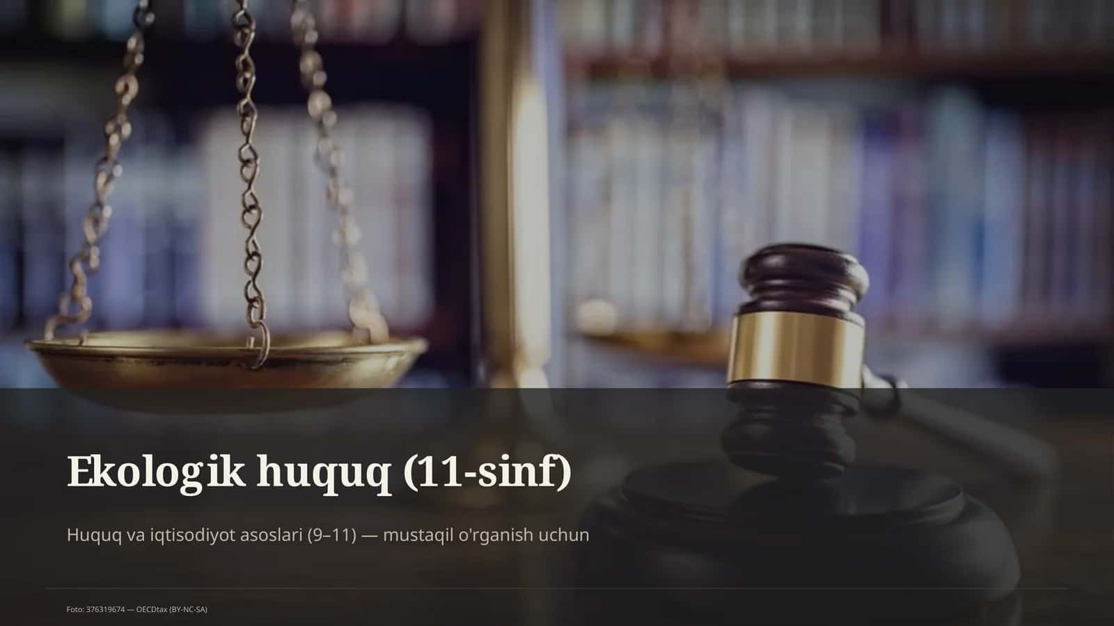 Ekologik huquq (11-sinf)