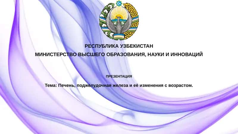 Печень, поджелудочная железа и её изменения с возрастом
