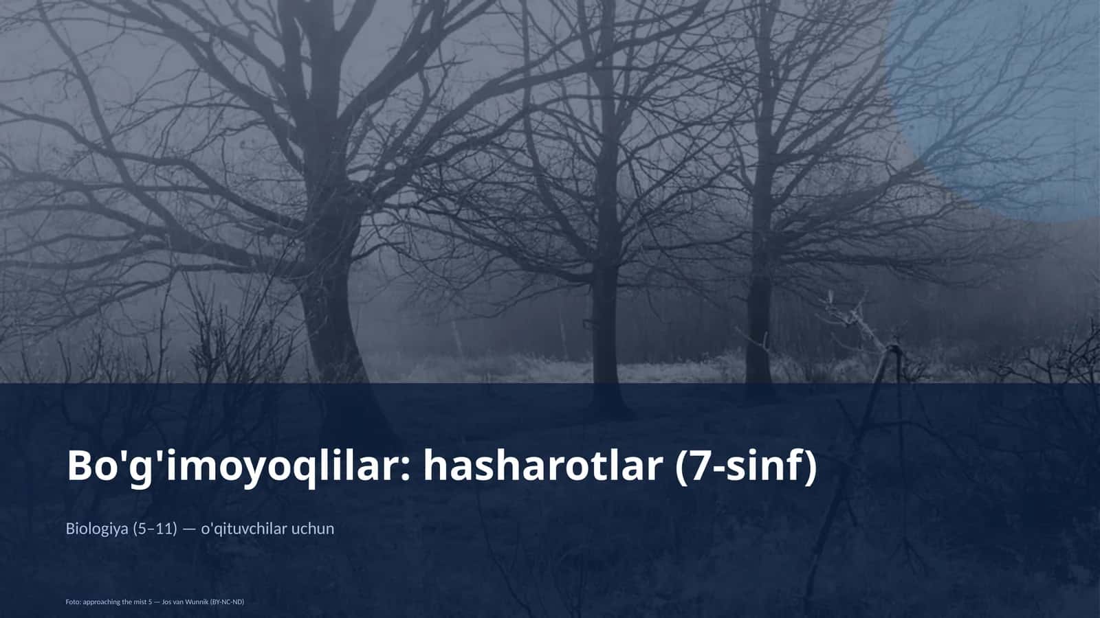 Bo'g'imoyoqlilar: hasharotlar (7-sinf)