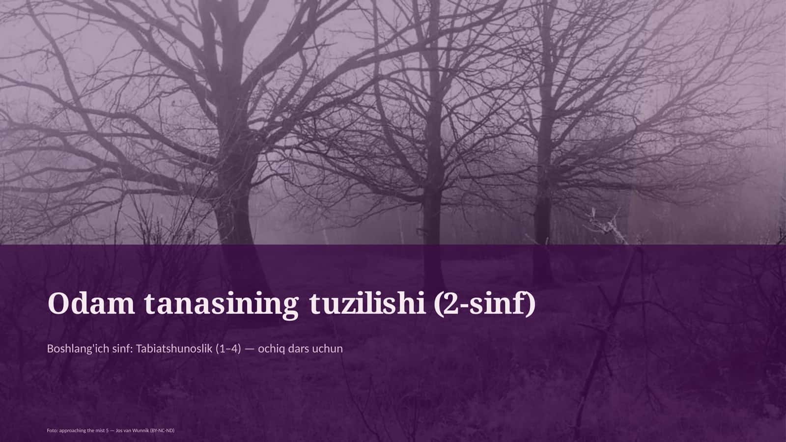 Odam tanasining tuzilishi (2-sinf)