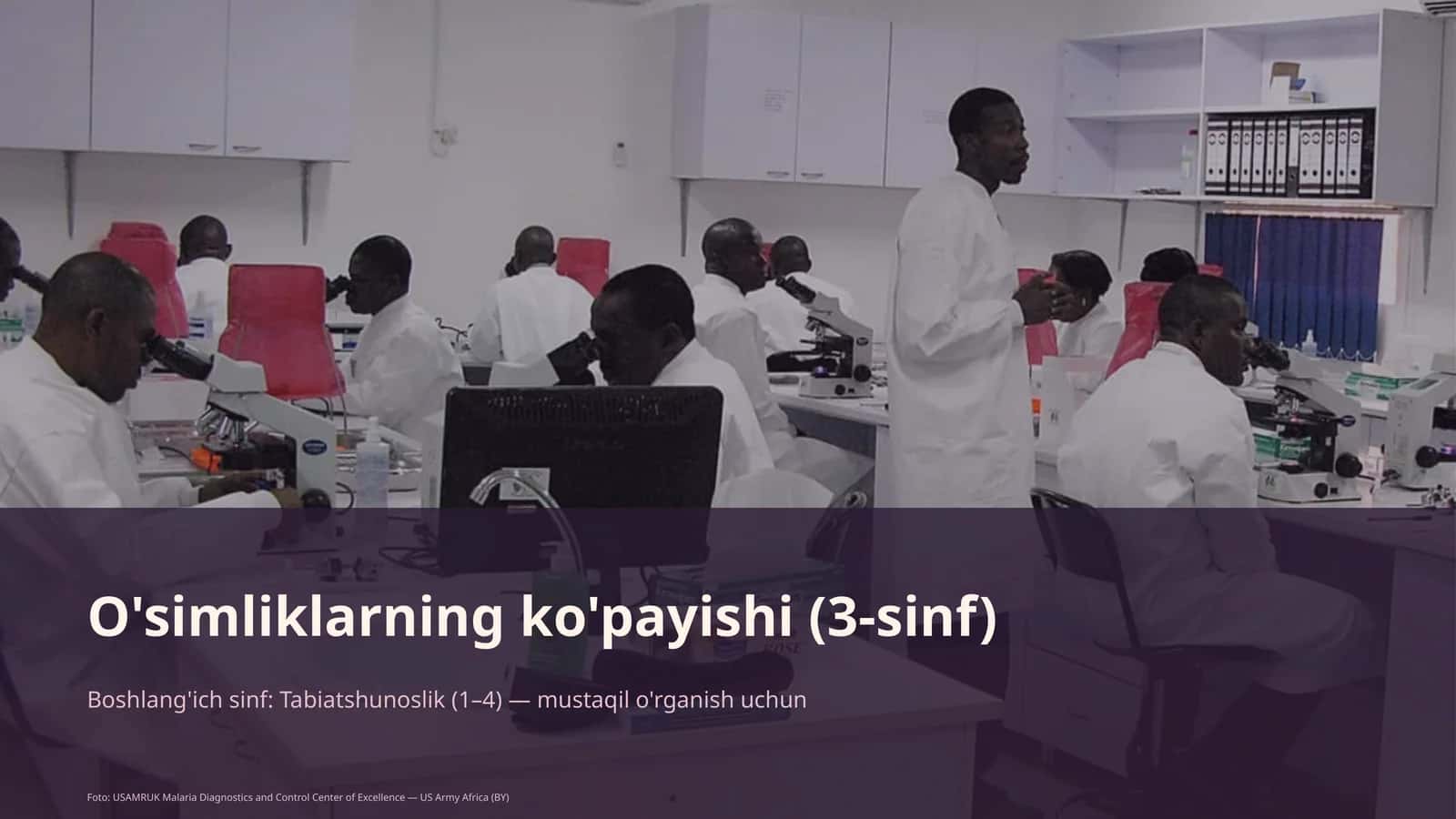 O'simliklarning ko'payishi (3-sinf)