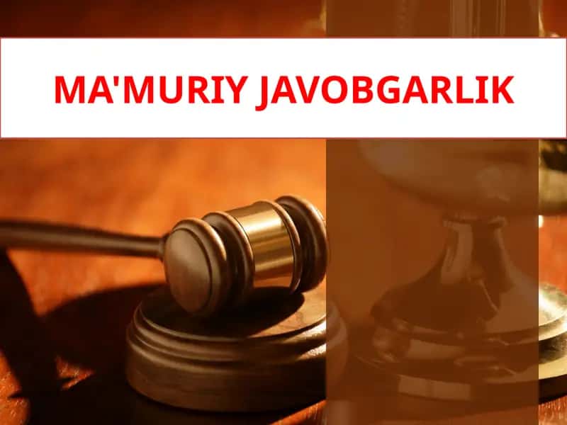 MA'MURIY JAVOBGARLIK