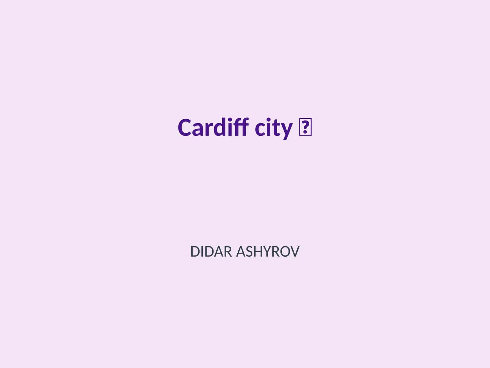 Cardiff city DIDAR ASHYROV