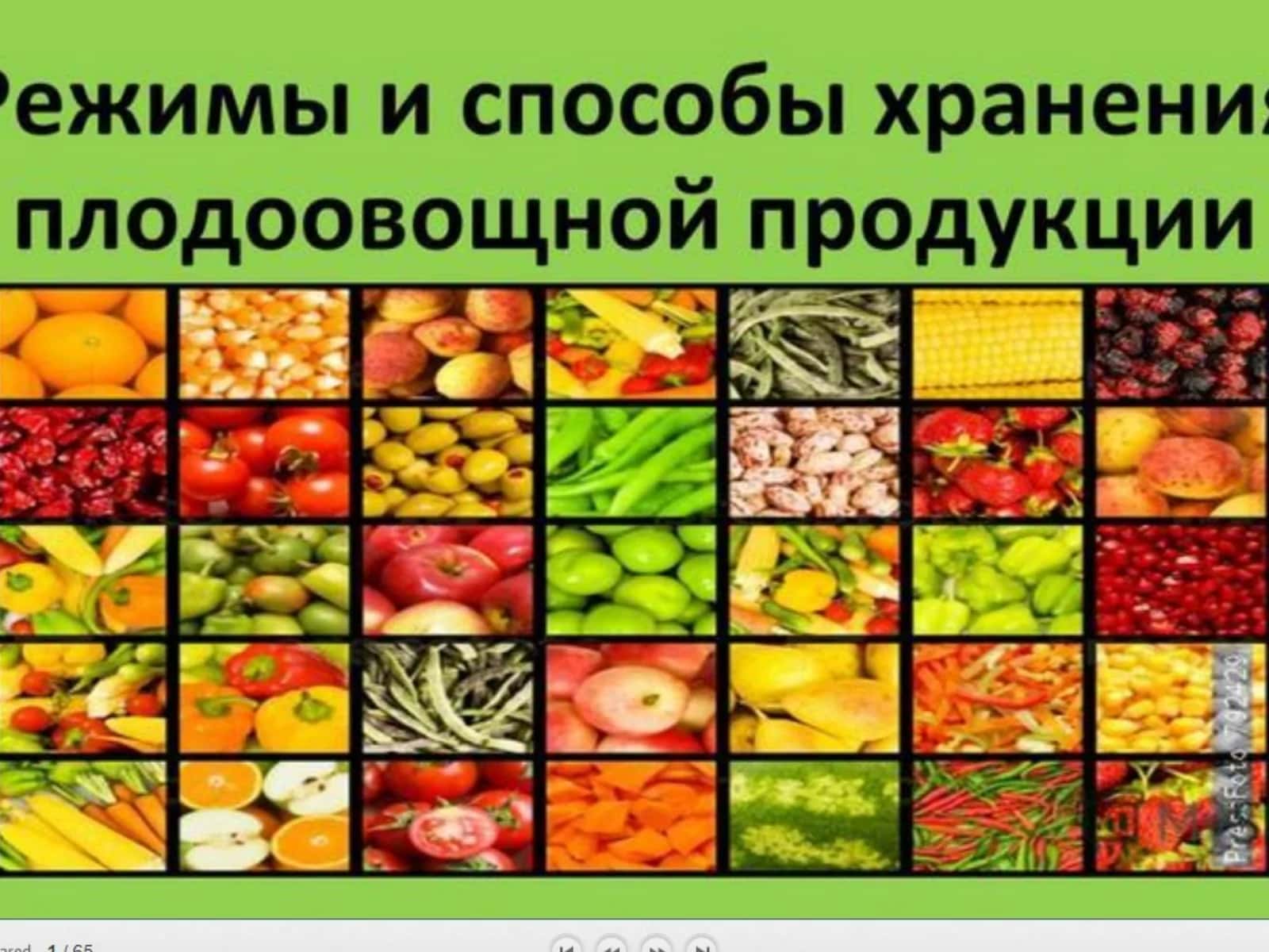 СТАДИИ И СПОСОБЫ ОЧИСТКИ ЗЕРНА И СЕМЯН