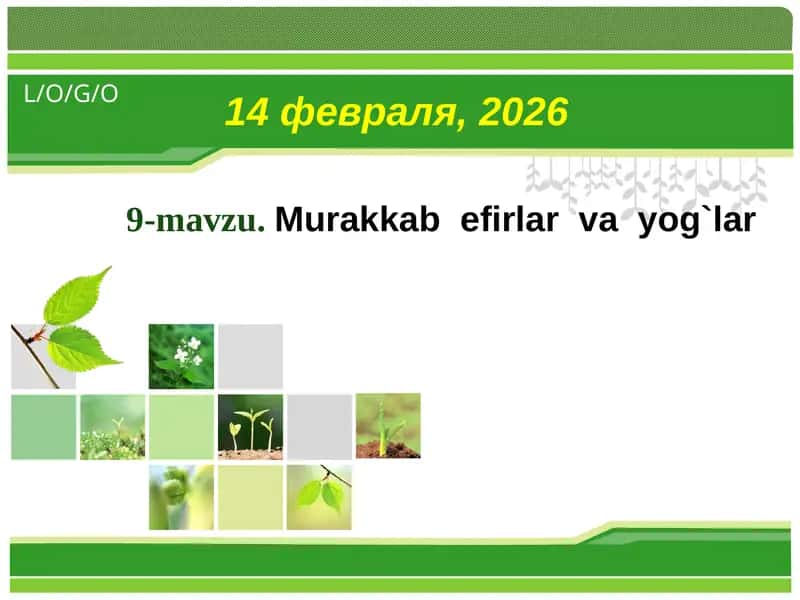 Murakkab efirlar va yog`lar