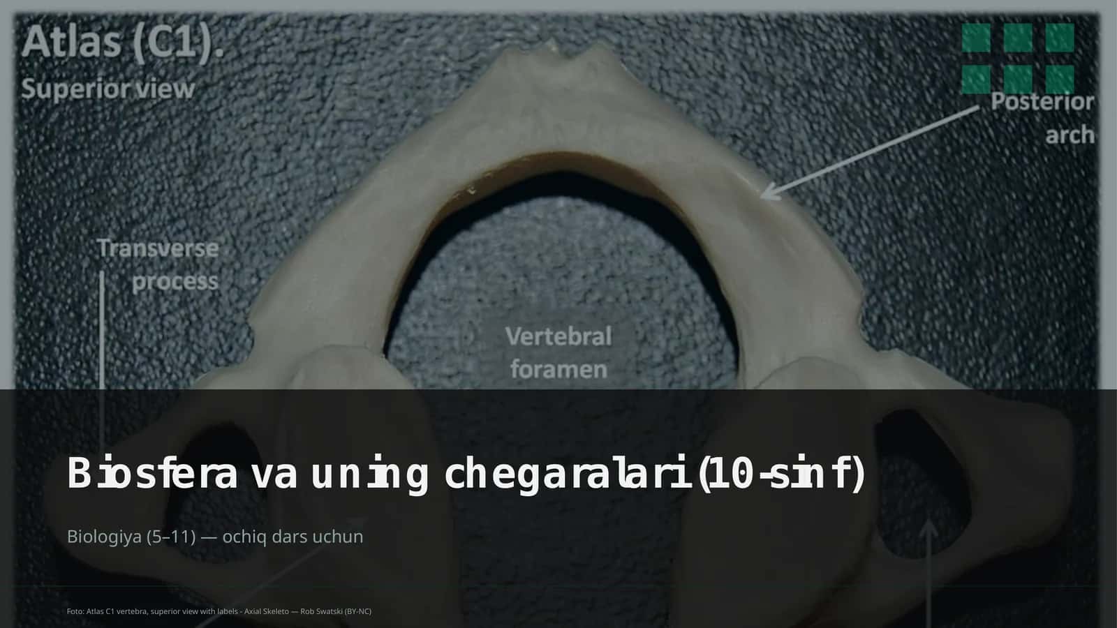 Biosfera va uning chegaralari (10-sinf)