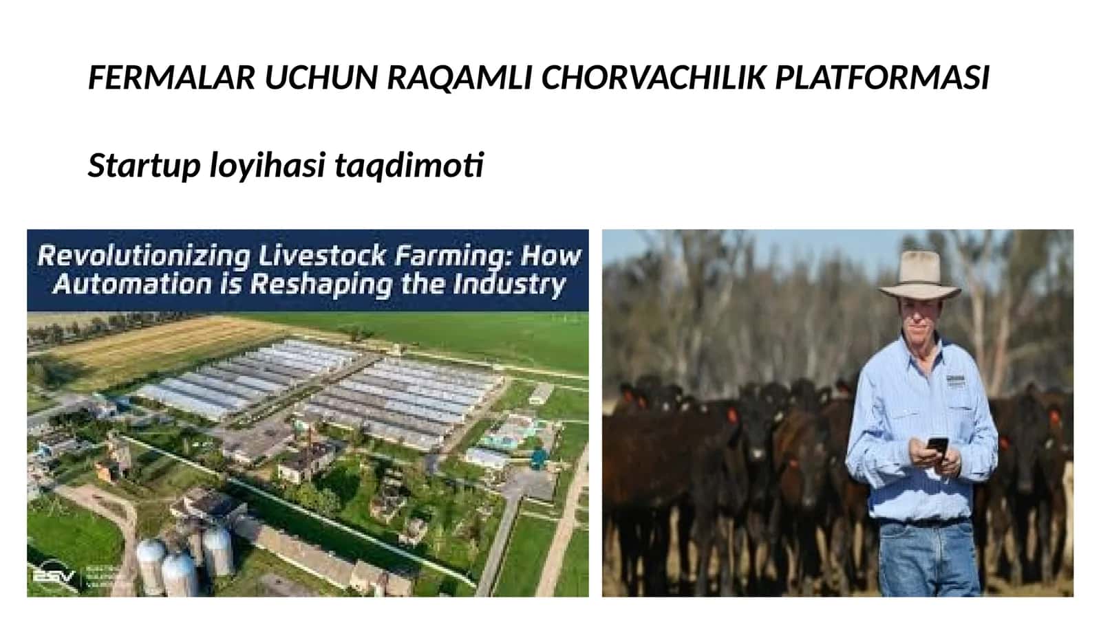 RAQAMLI CHORVACHILIK PLATFORMASI