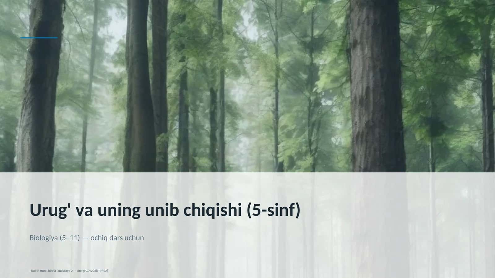 Urug' va uning unib chiqishi (5-sinf)
