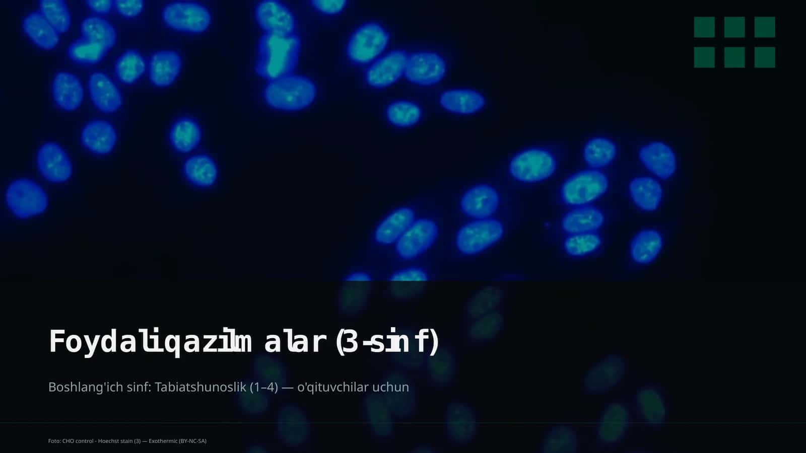 Foydali qazilmalar (3-sinf)