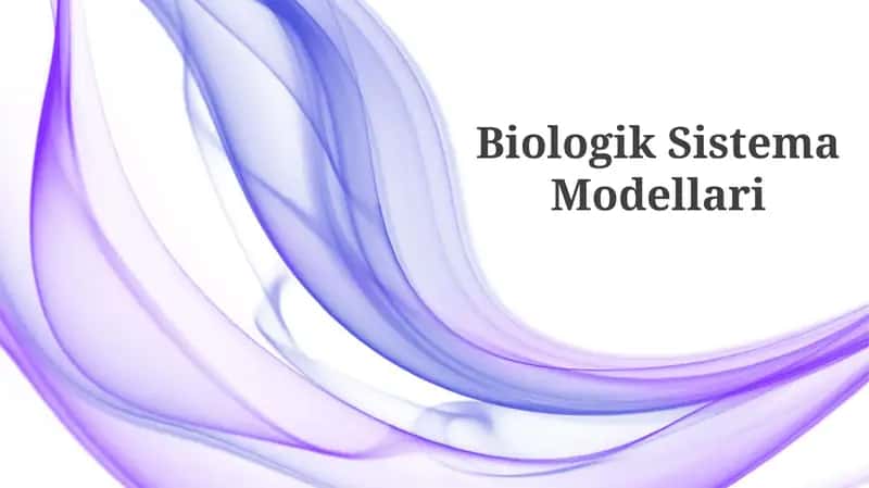 Biologik Sistema Modellari