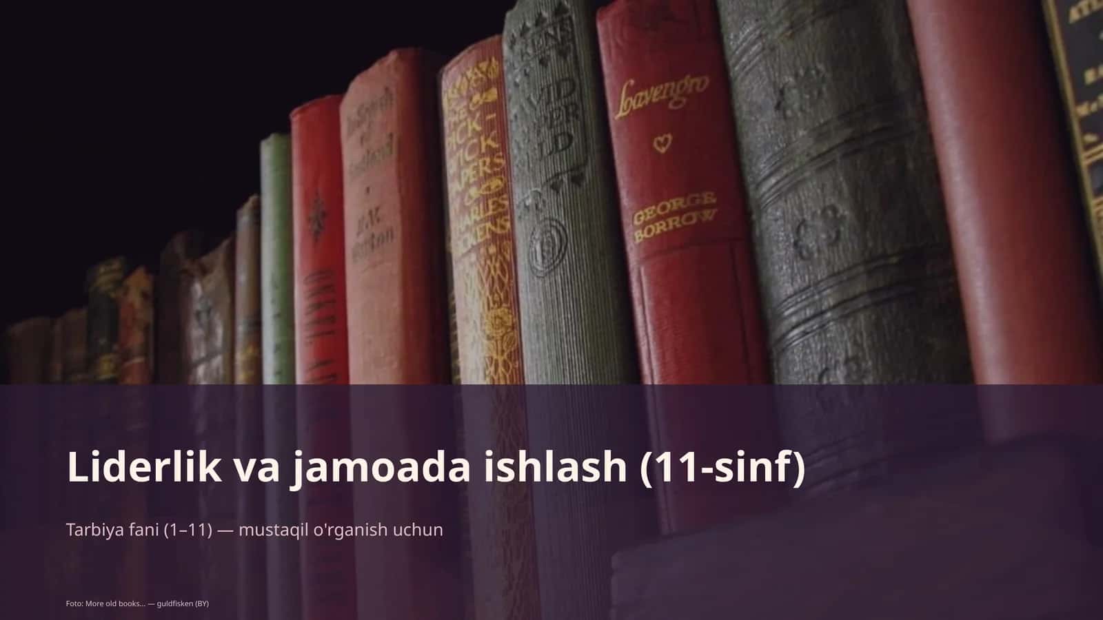 Liderlik va jamoada ishlash (11-sinf)