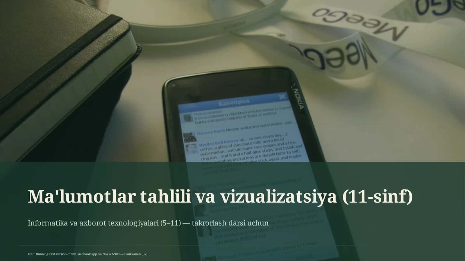 Ma'lumotlar tahlili va vizualizatsiya (11-sinf)