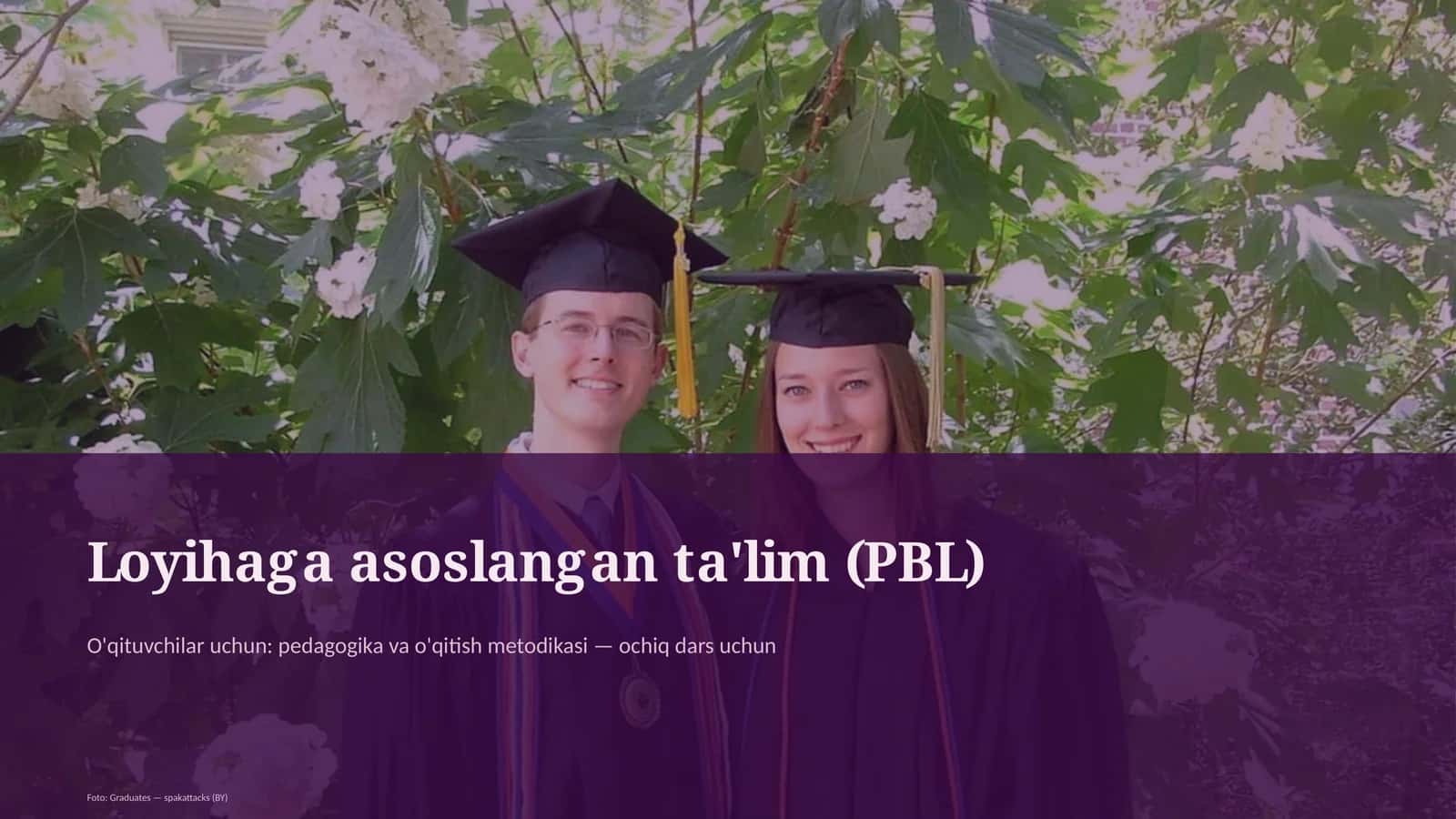 Loyihaga asoslangan ta'lim (PBL)