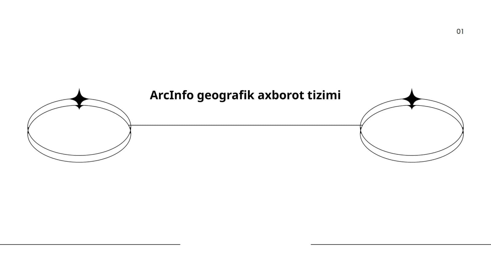 ArcInfo geografik axborot tizimi