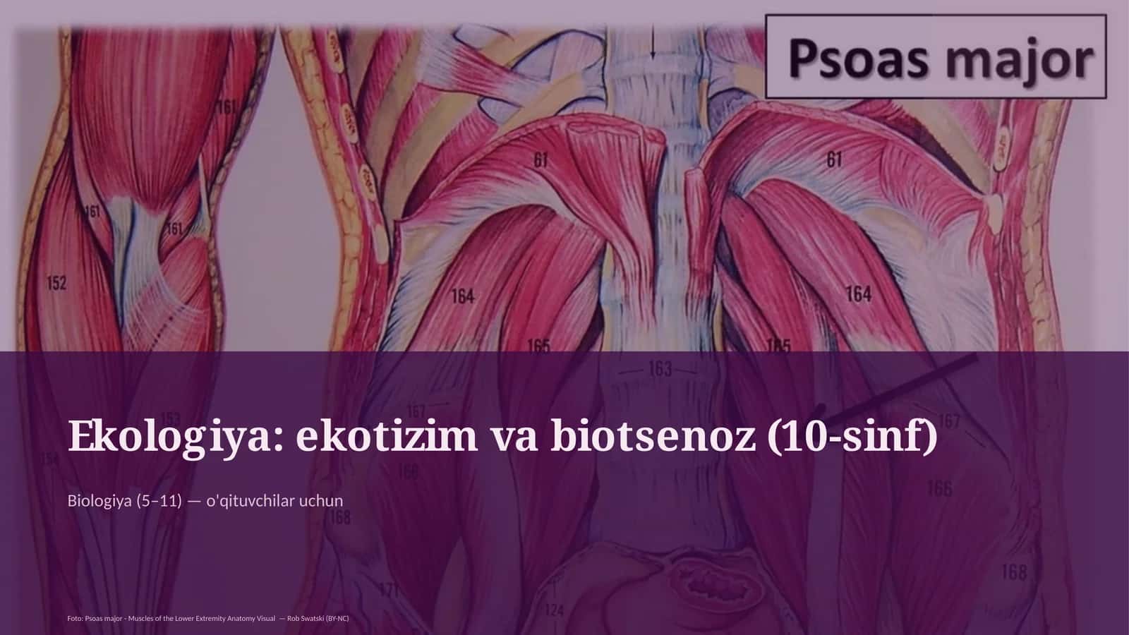 Ekologiya: ekotizim va biotsenoz (10-sinf)