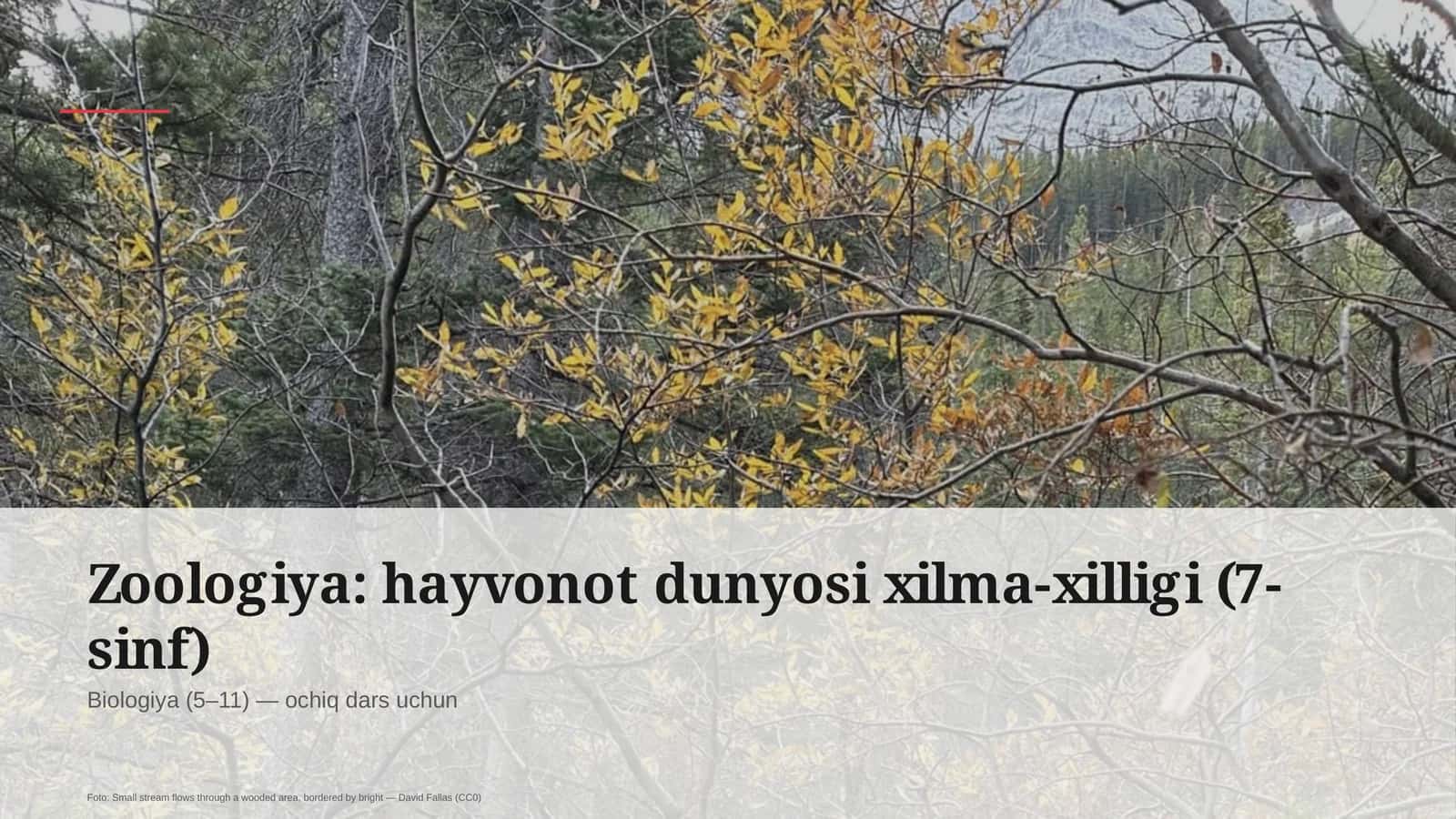 Zoologiya: hayvonot dunyosi xilma-xilligi (7-sinf)