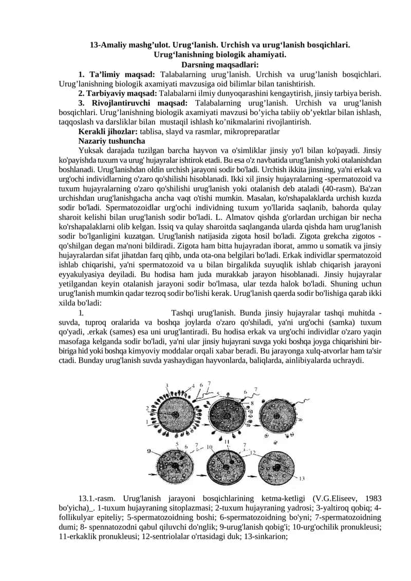Urugʻlanish. Urchish va urugʻlanish bosqichlari. Urugʻlanishning biologik ahamiyati.
