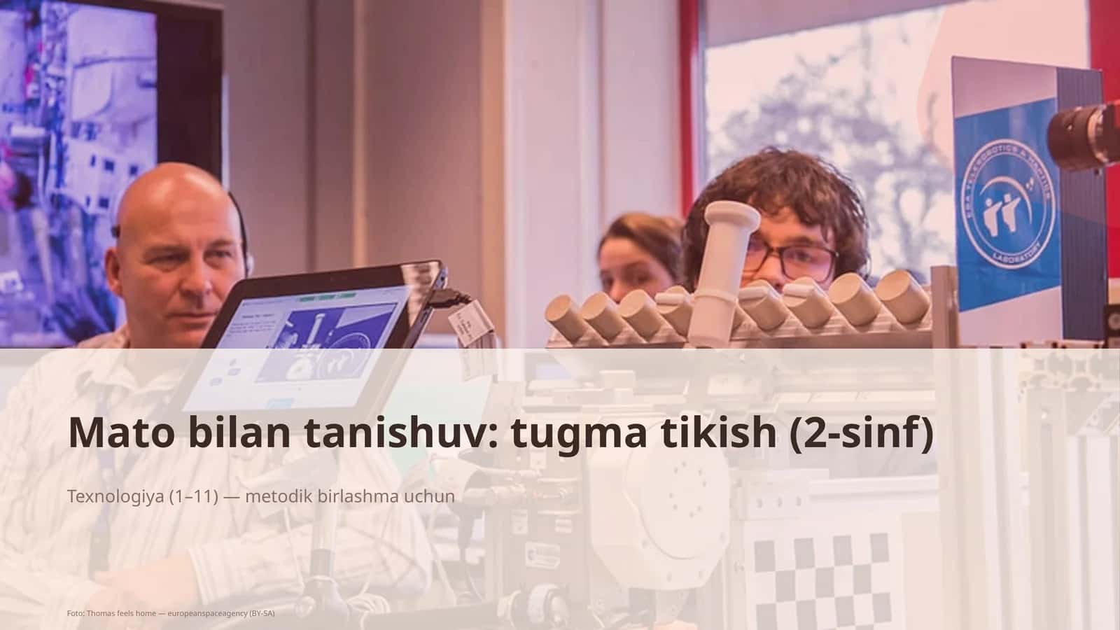 Mato bilan tanishuv: tugma tikish (2-sinf)