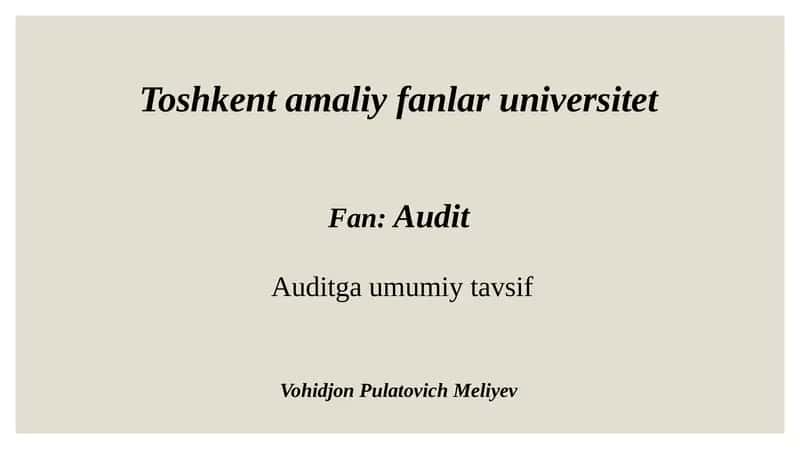 Auditga umumiy tavsif