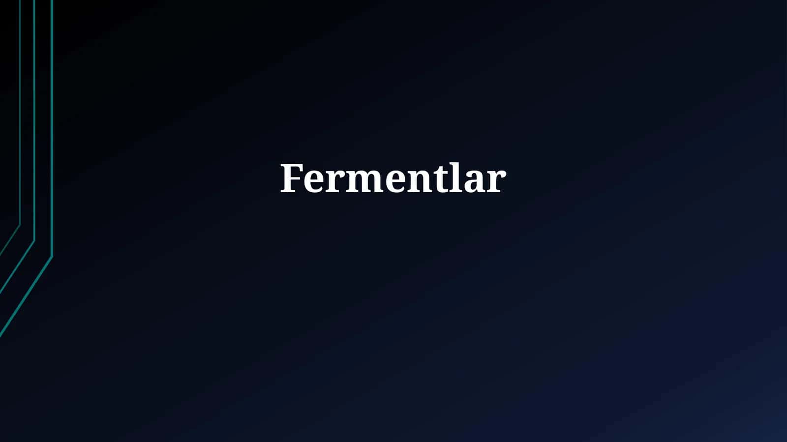 Fermentlar