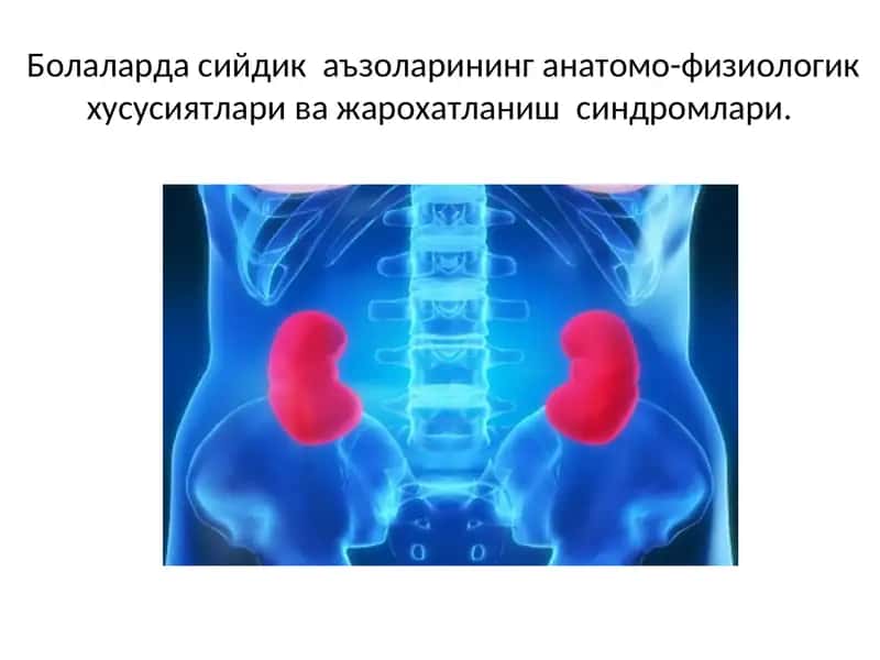 Болаларда сийдик аъзоларининг анатомо-физиологик хусусиятлари ва жарохатланиш синдромлари