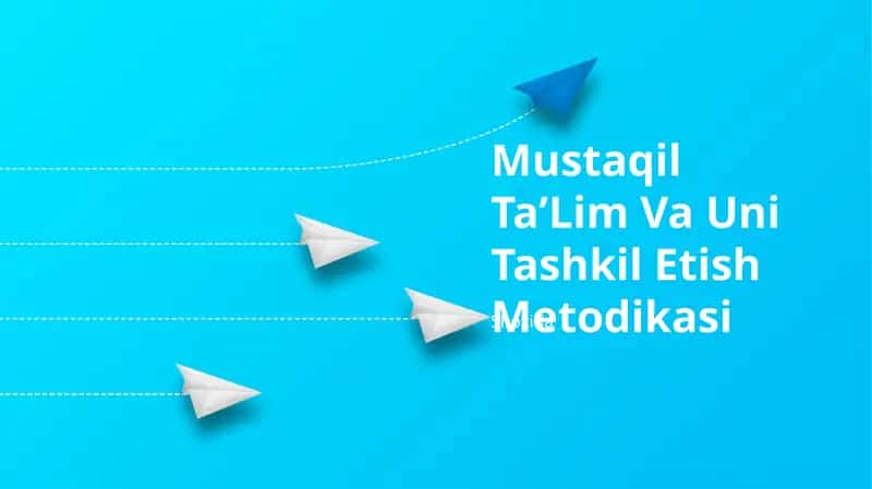 Mustaqil TaʼLim Va Uni Tashkil Etish Metodikasi