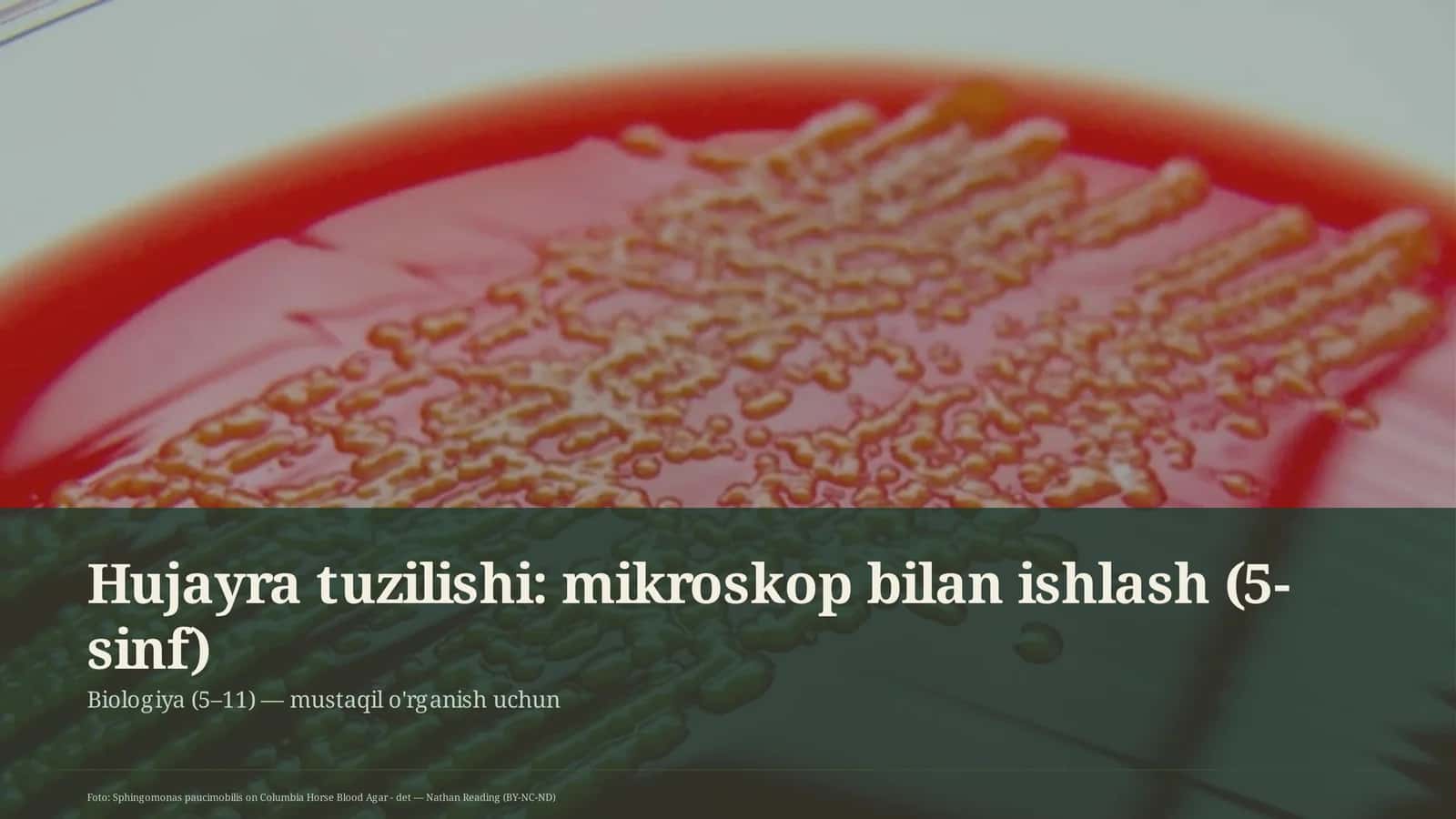 Hujayra tuzilishi: mikroskop bilan ishlash (5-sinf)