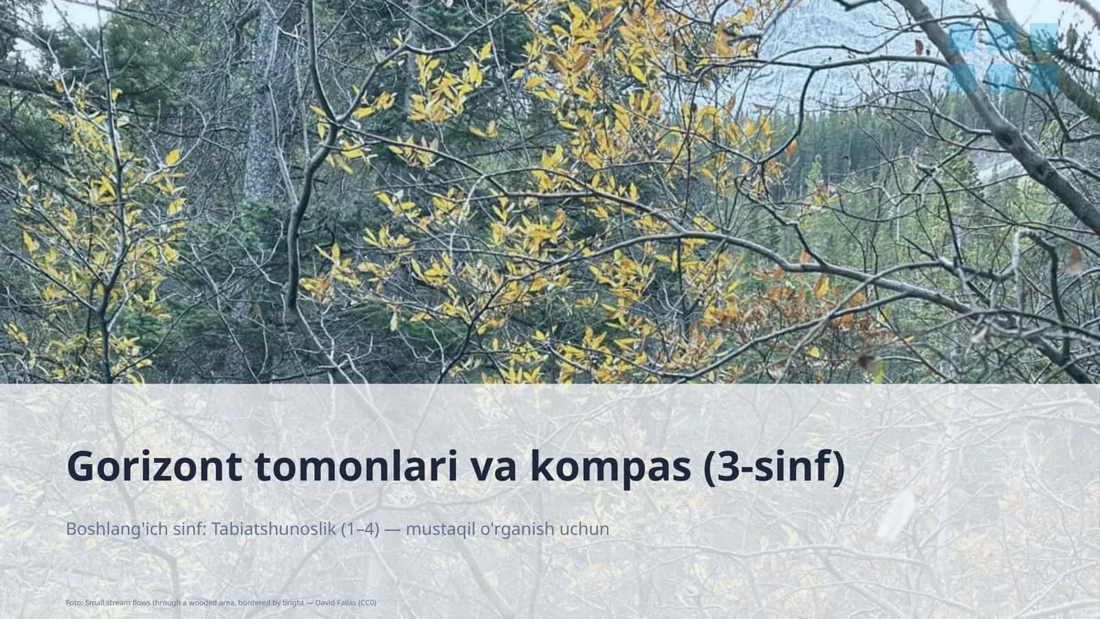 Gorizont tomonlari va kompas (3-sinf)