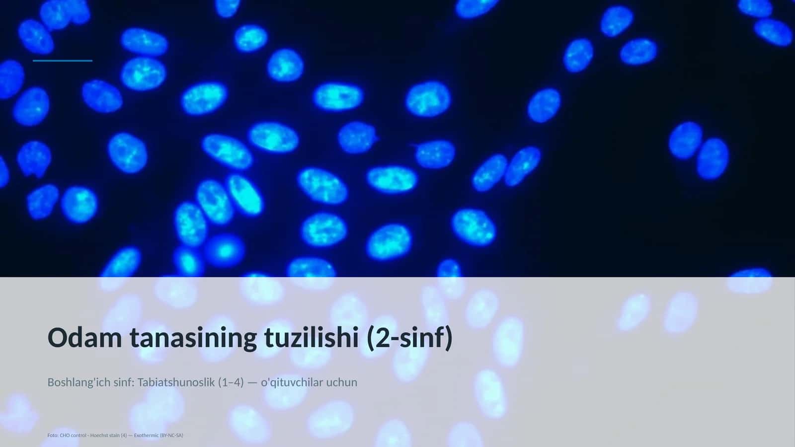 Odam tanasining tuzilishi (2-sinf)