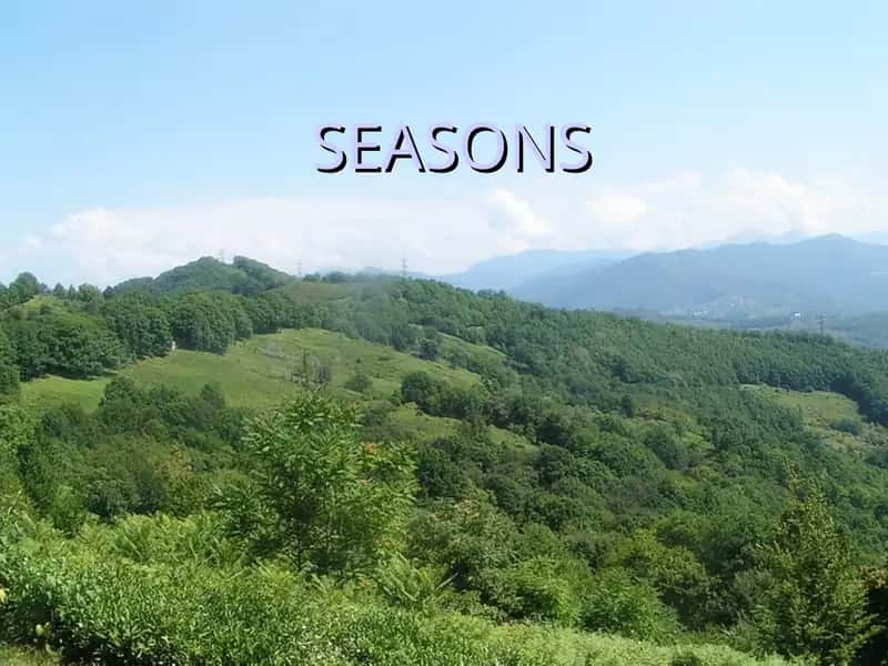 Seasons