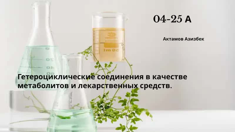 Гетероциклы: Основа жизни
