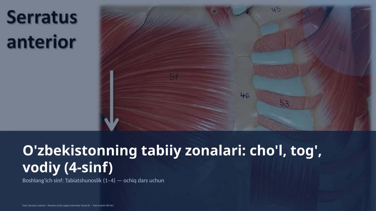 O'zbekistonning tabiiy zonalari: cho'l, tog', vodiy (4-sinf)